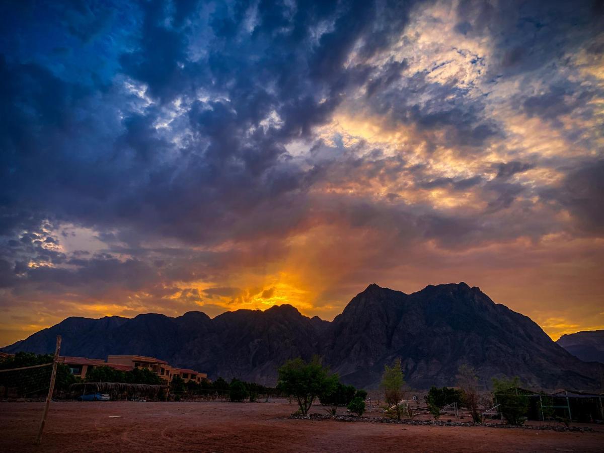 SakraTah Camp - eco friendly Hotel Taba Bagian luar foto