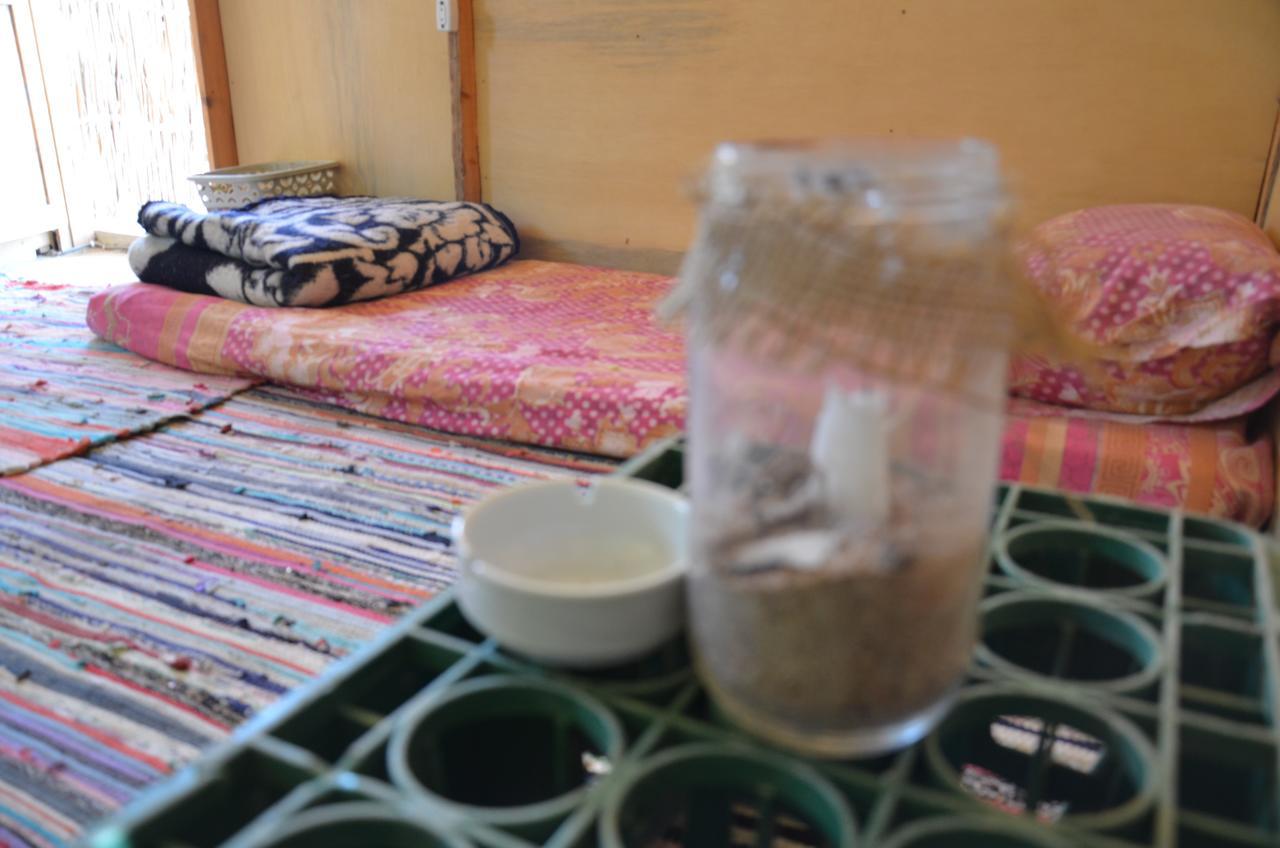 SakraTah Camp - eco friendly Hotel Taba Bagian luar foto